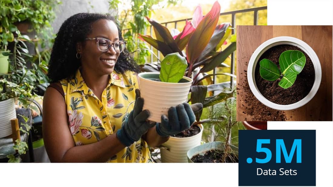A woman in glasses holding a potted plant on her balcony